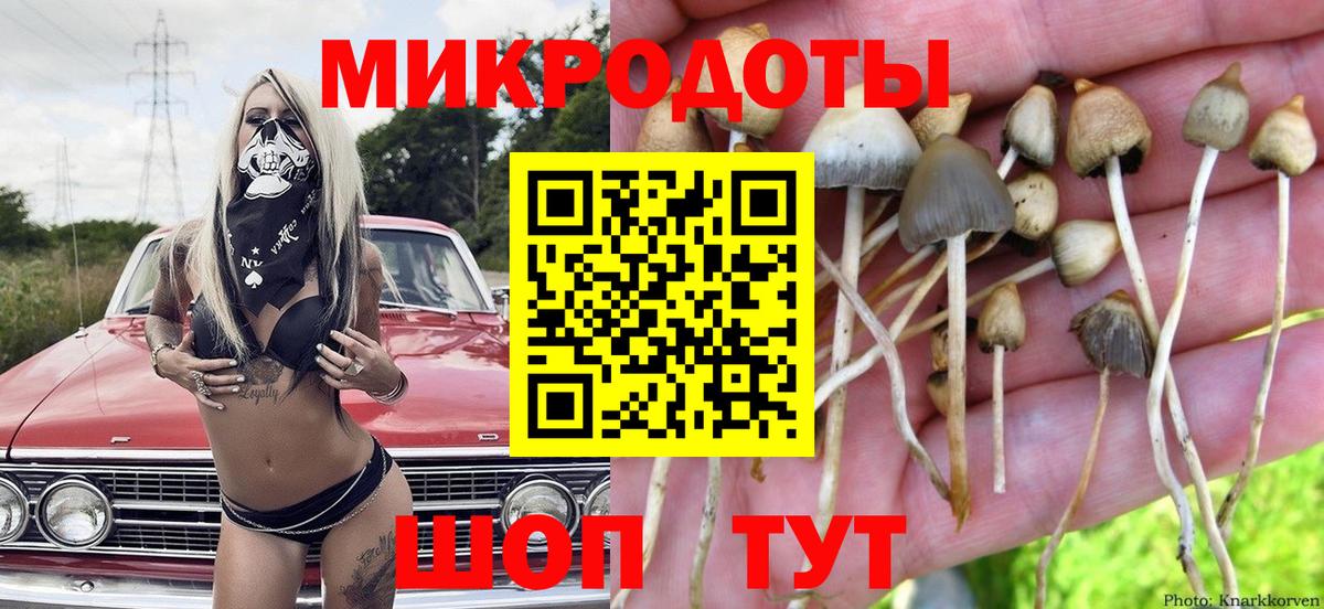 Псилоцибиновые грибы мицелий Кропоткин