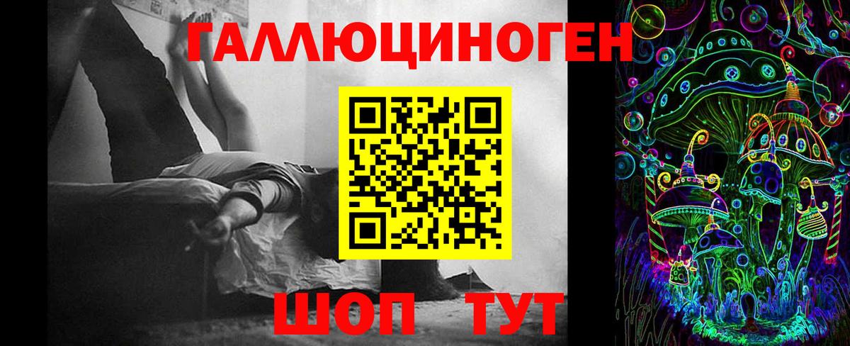 Псилоцибиновые грибы Psilocybe  Псилоцибиновые грибы Psilocybine cubensis  Кропоткин  Вход с VPN 